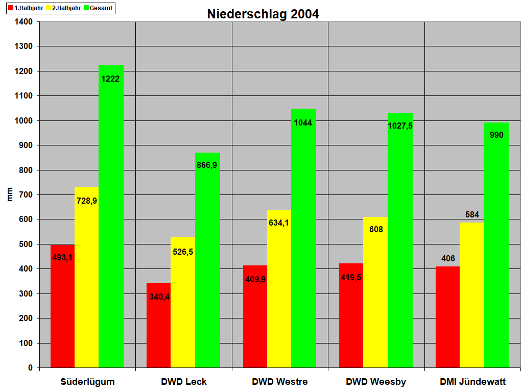 Niederschlag 2004