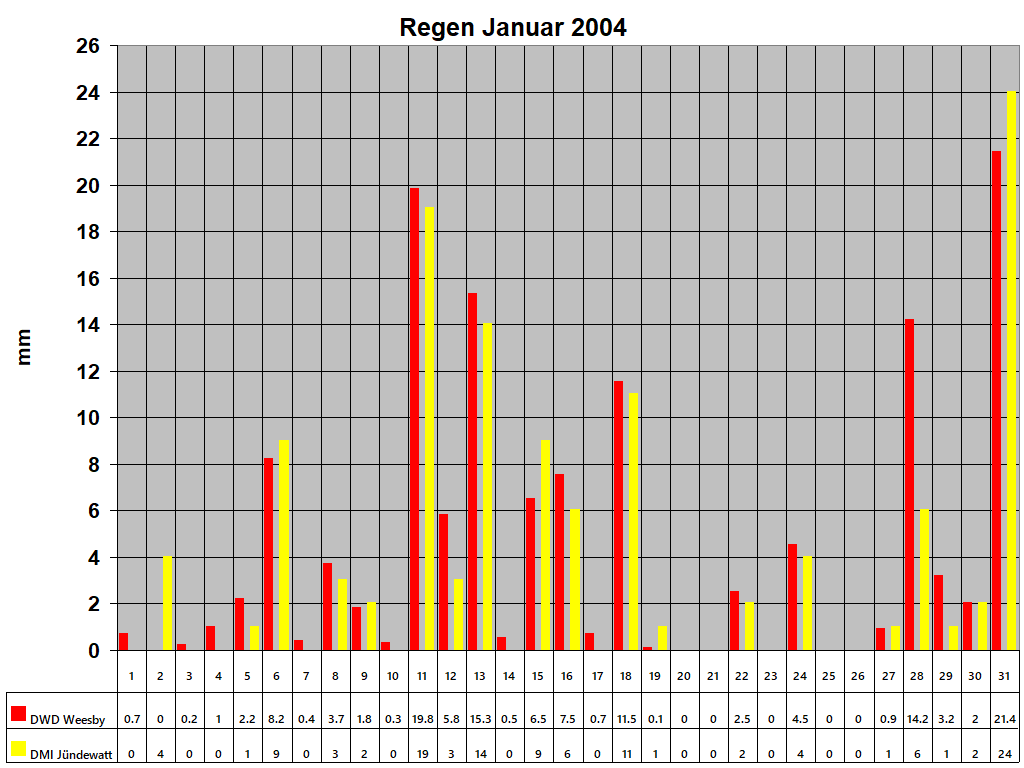 Regen Januar 2004