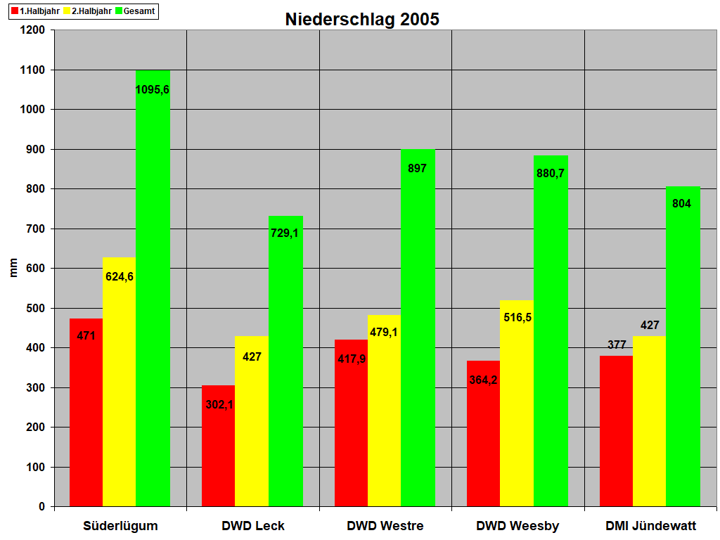 Niederschlag 2005