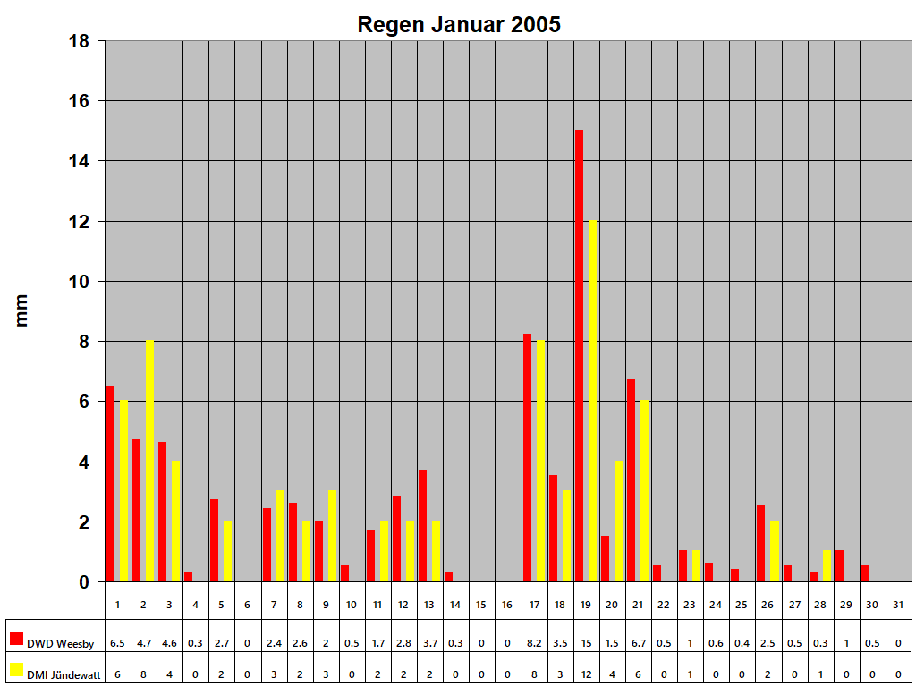 Regen Januar 2005