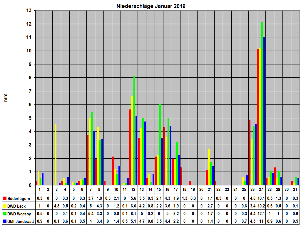 Niederschlge Januar 2019