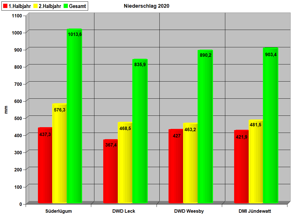 Niederschlag 2020