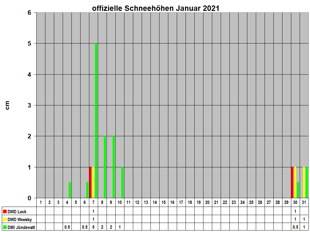 offizielle Schneehhen Januar 2021