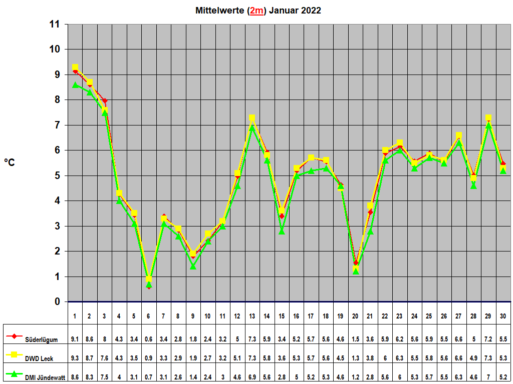 Mittelwerte (2m) Januar 2022