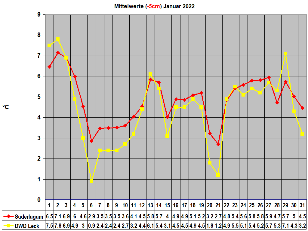 Mittelwerte (-5cm) Januar 2022