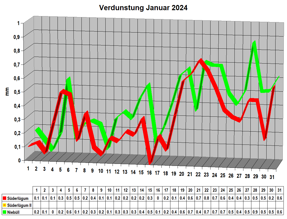 Verdunstung Januar 2024