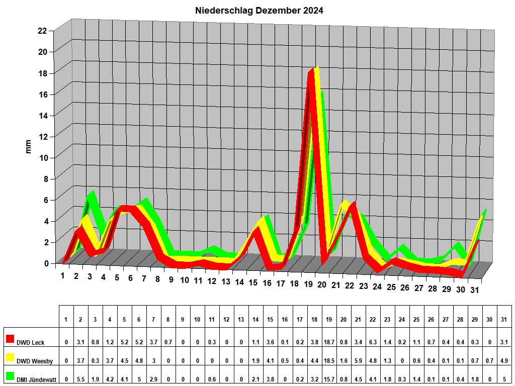 Niederschlag Dezember 2024