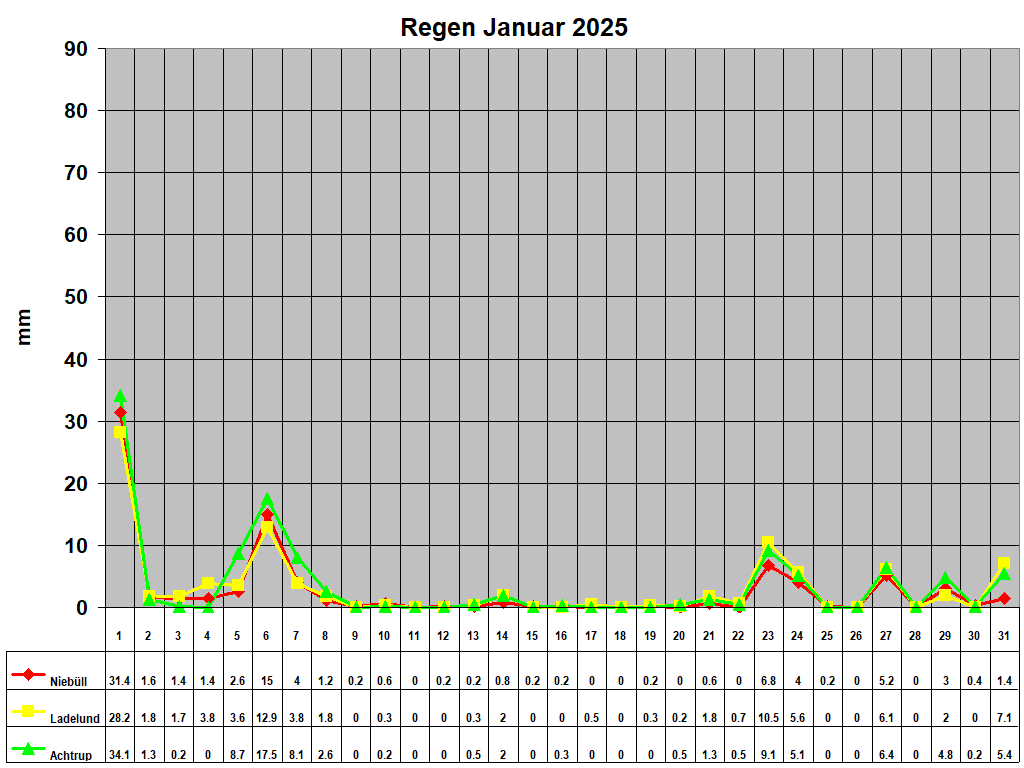 Regen Januar 2025