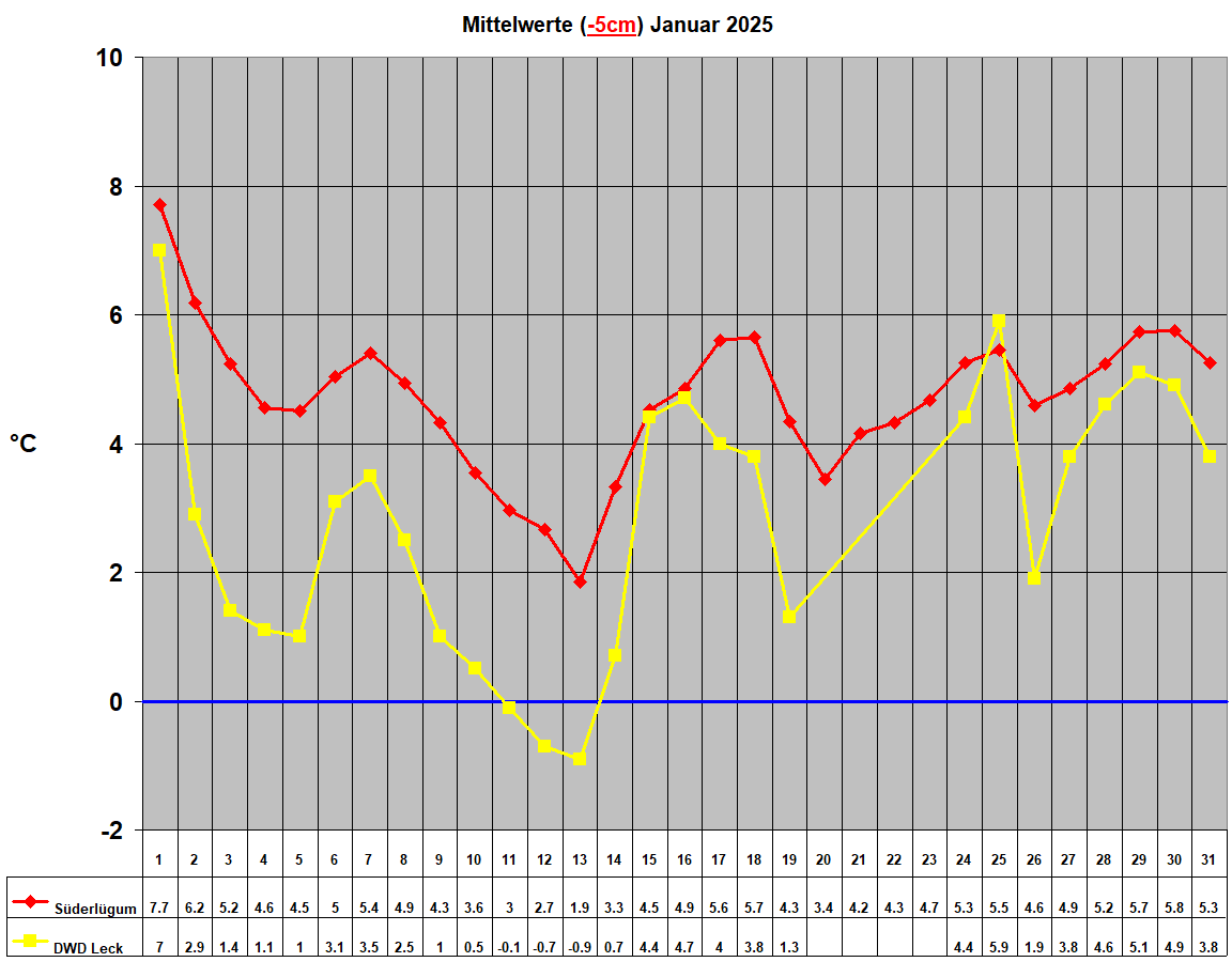Mittelwerte (-5cm) Januar 2025