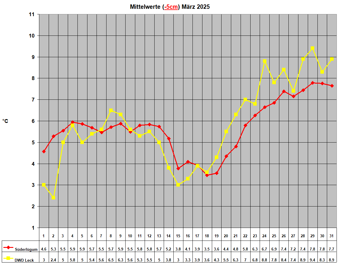 Mittelwerte (-5cm) M�rz 2025