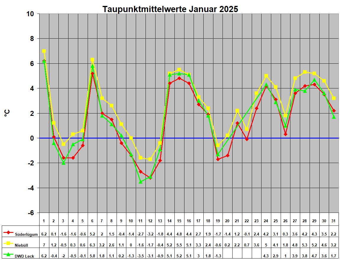 Taupunktmittelwerte Januar 2025