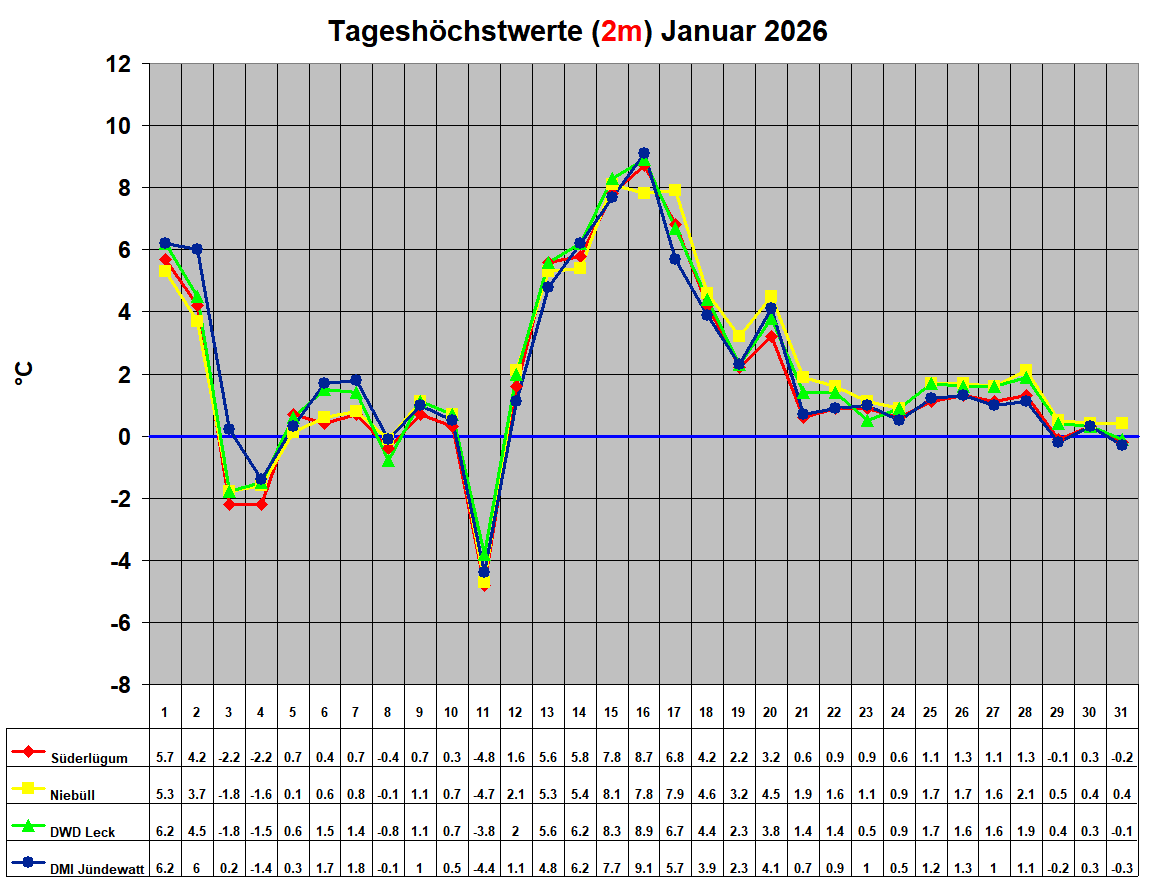 Tagesh�chstwerte (2m) Januar 2026