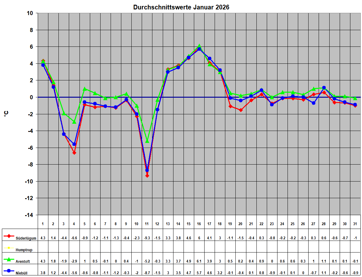 Durchschnittswerte Januar 2026