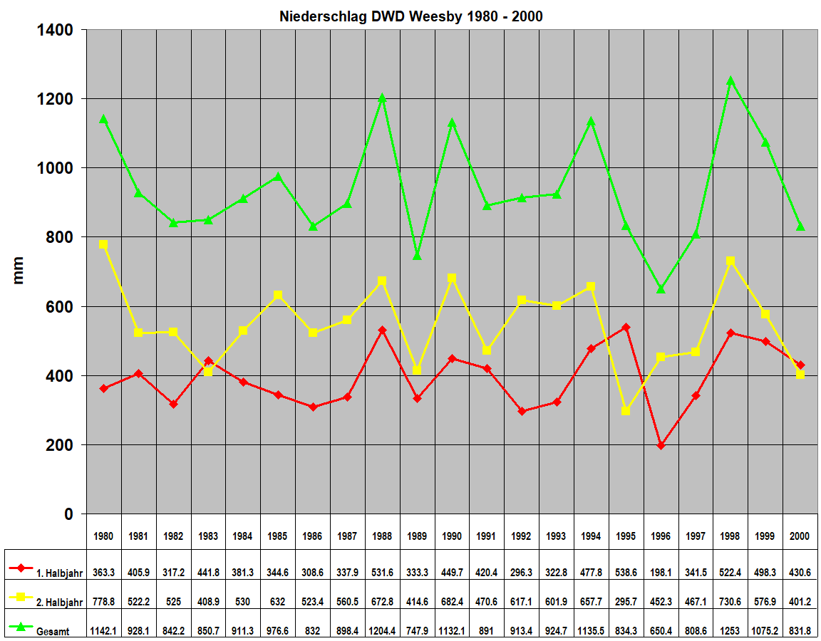 Niederschlag DWD Weesby 1980 - 2000