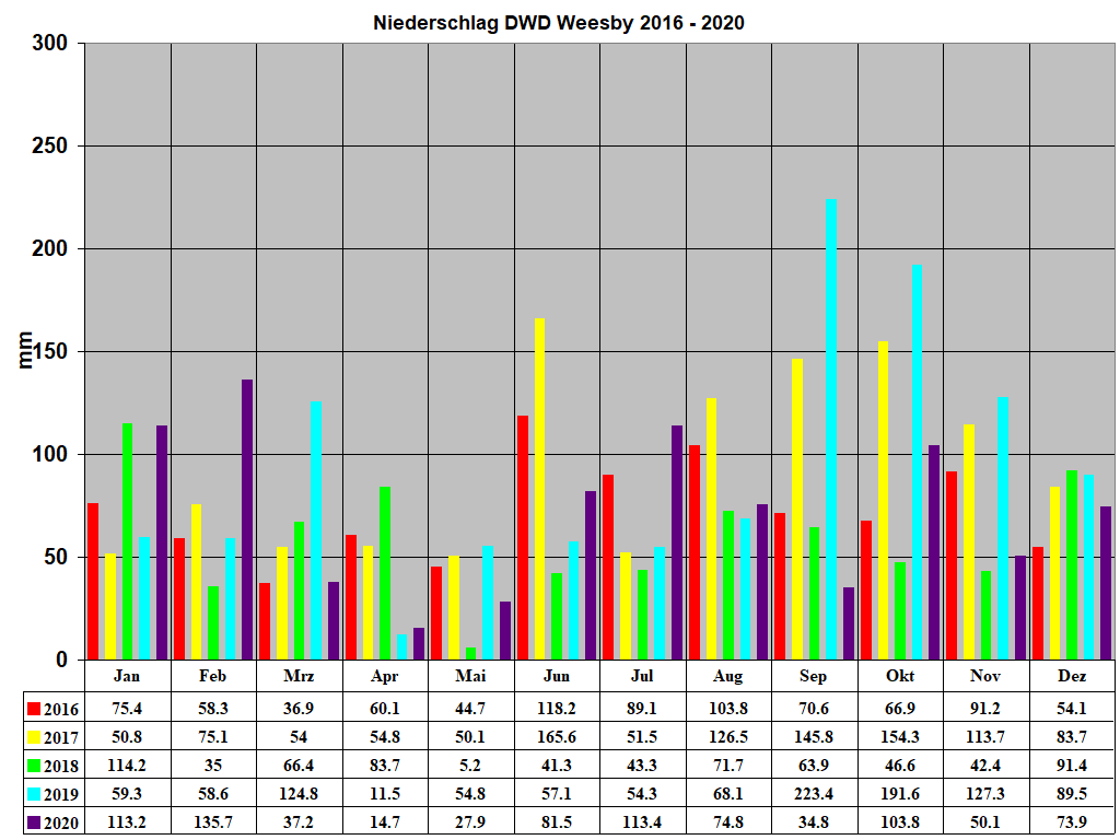 Niederschlag DWD Weesby 2016 - 2020
