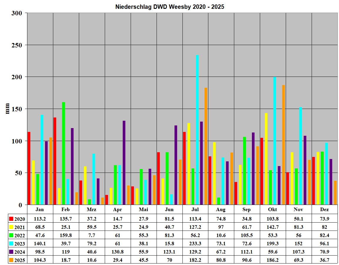 Niederschlag DWD Weesby 2020 - 2025